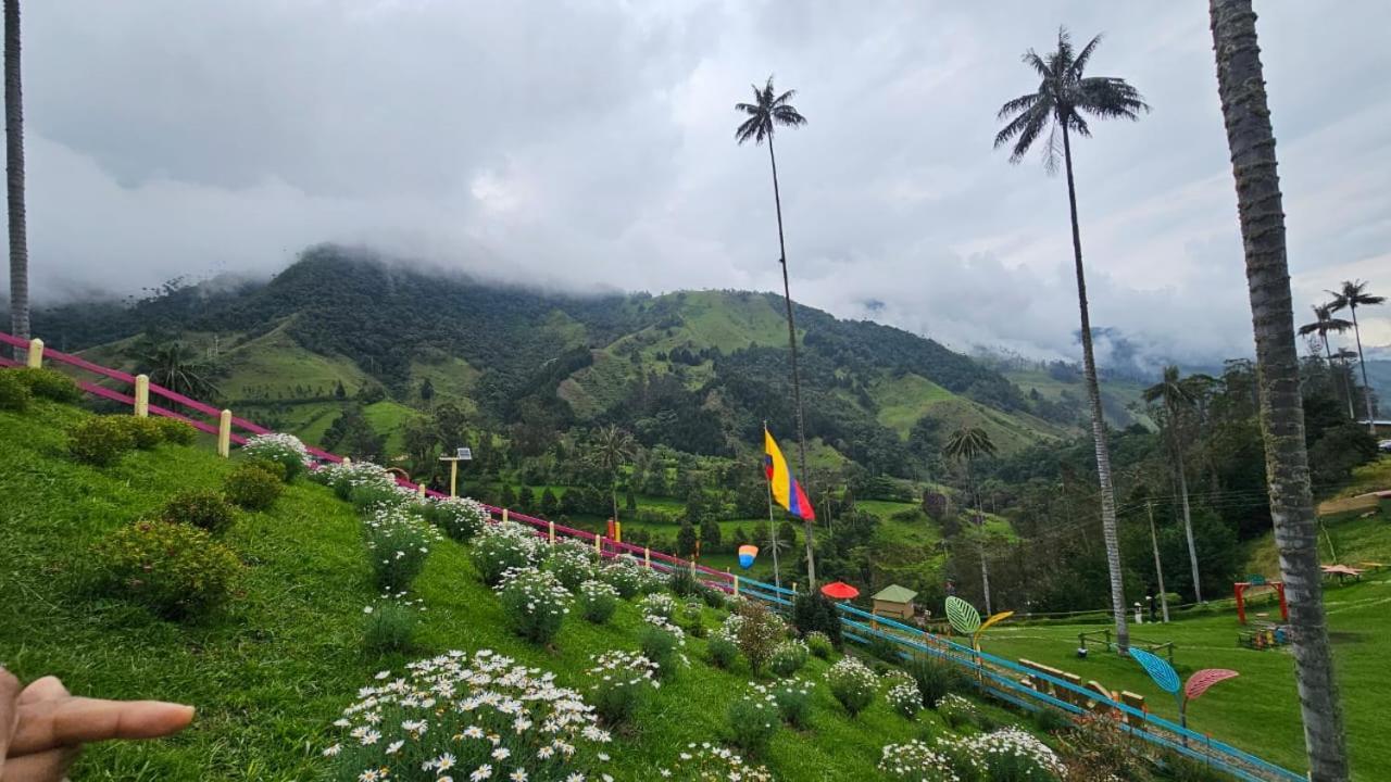 Casa Campo Valle De Cocora Salento Kültér fotó