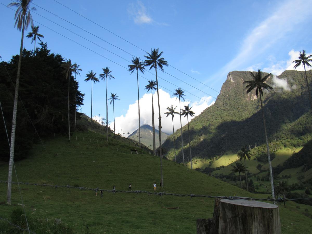 Casa Campo Valle De Cocora Villa Salento Kültér fotó