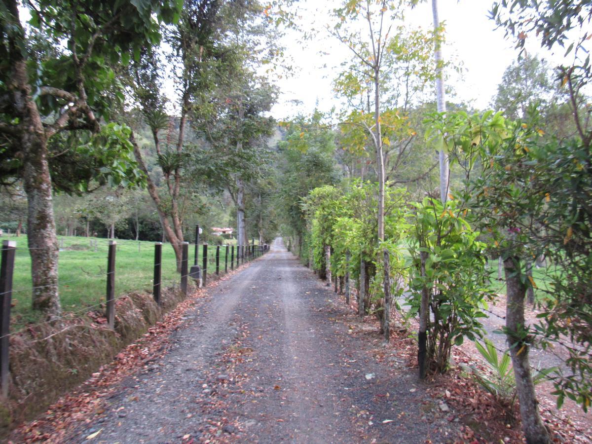 Casa Campo Valle De Cocora Villa Salento Kültér fotó